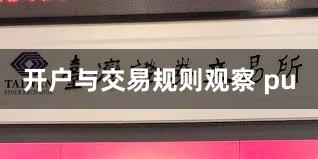 开户与交易规则观察 pu